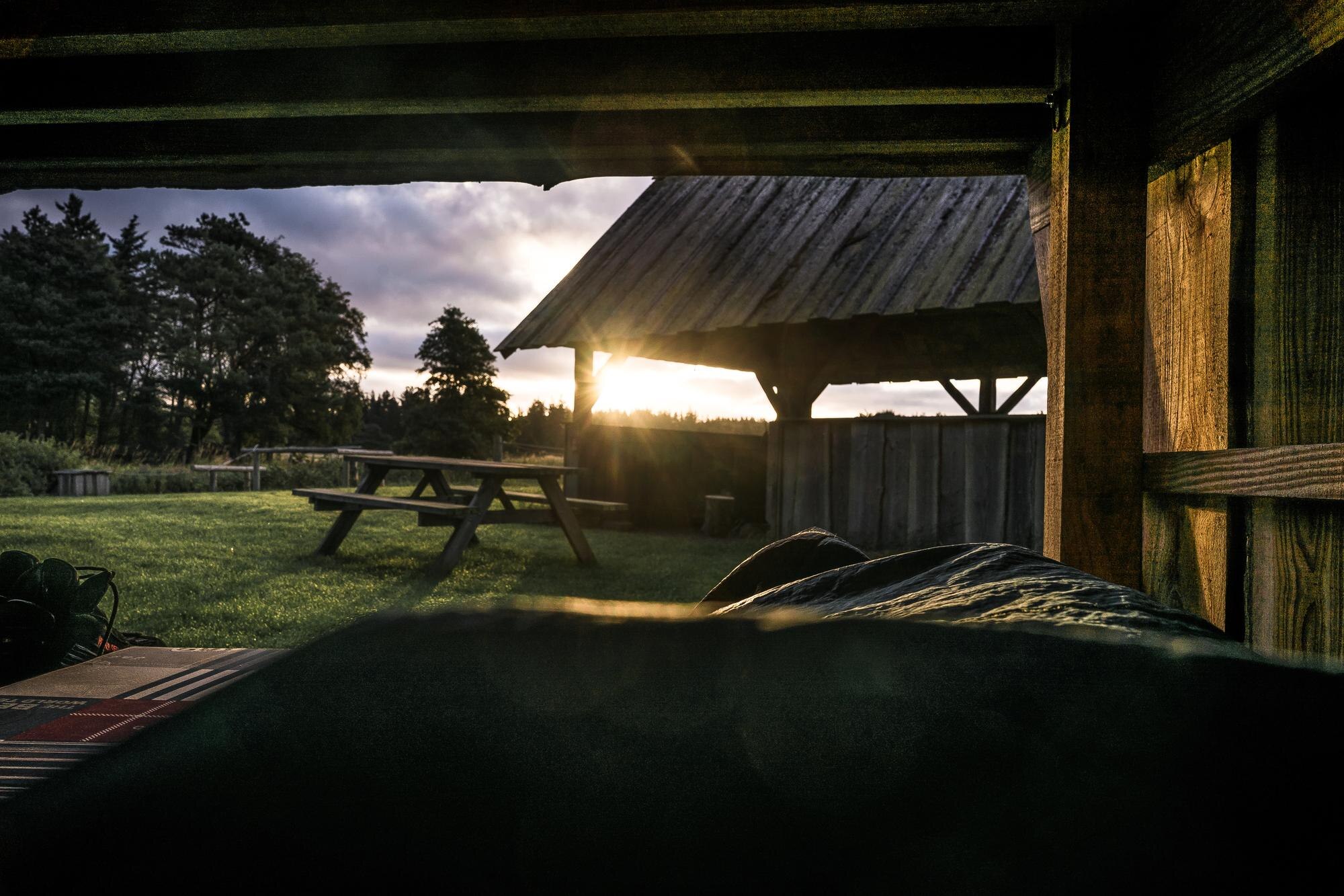 Creekside, Courtside, Fireside: Your North Georgia Farm Stay Escape in Dahlonega
