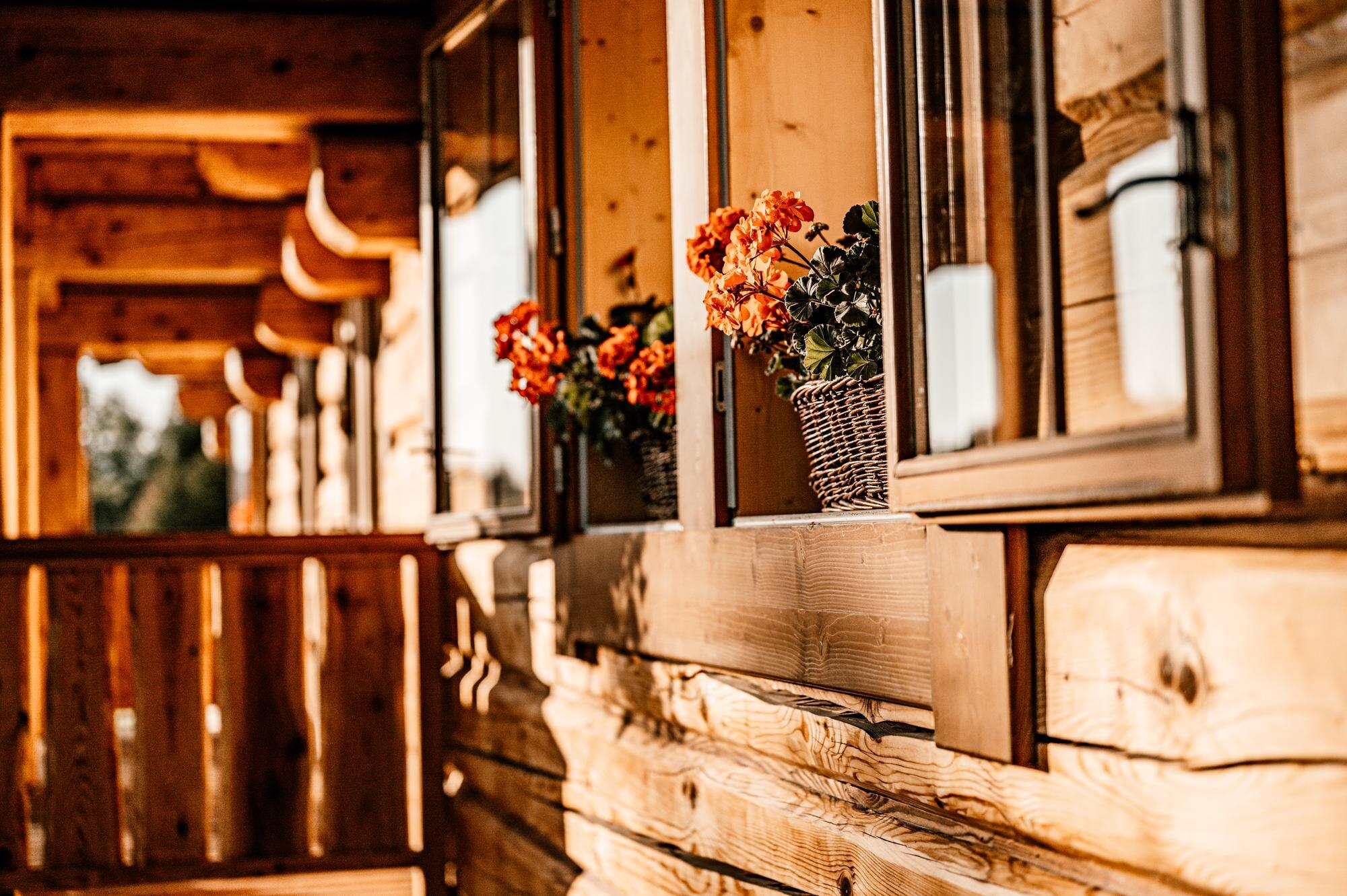 Rustic Holiday Weekend Near Dahlonega Square & Local Wineries at Paddle and Pines